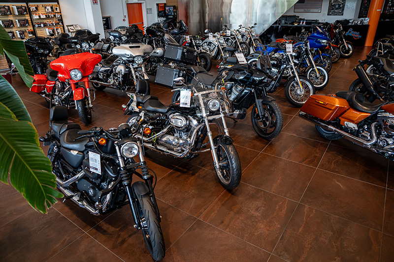 Harley Davidson Usate in Esposizione