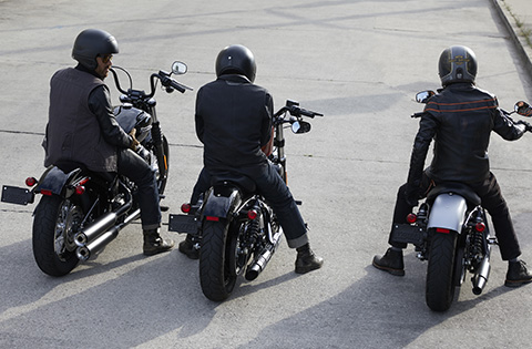 Test-Drive Harley-Davidson® Bergamo