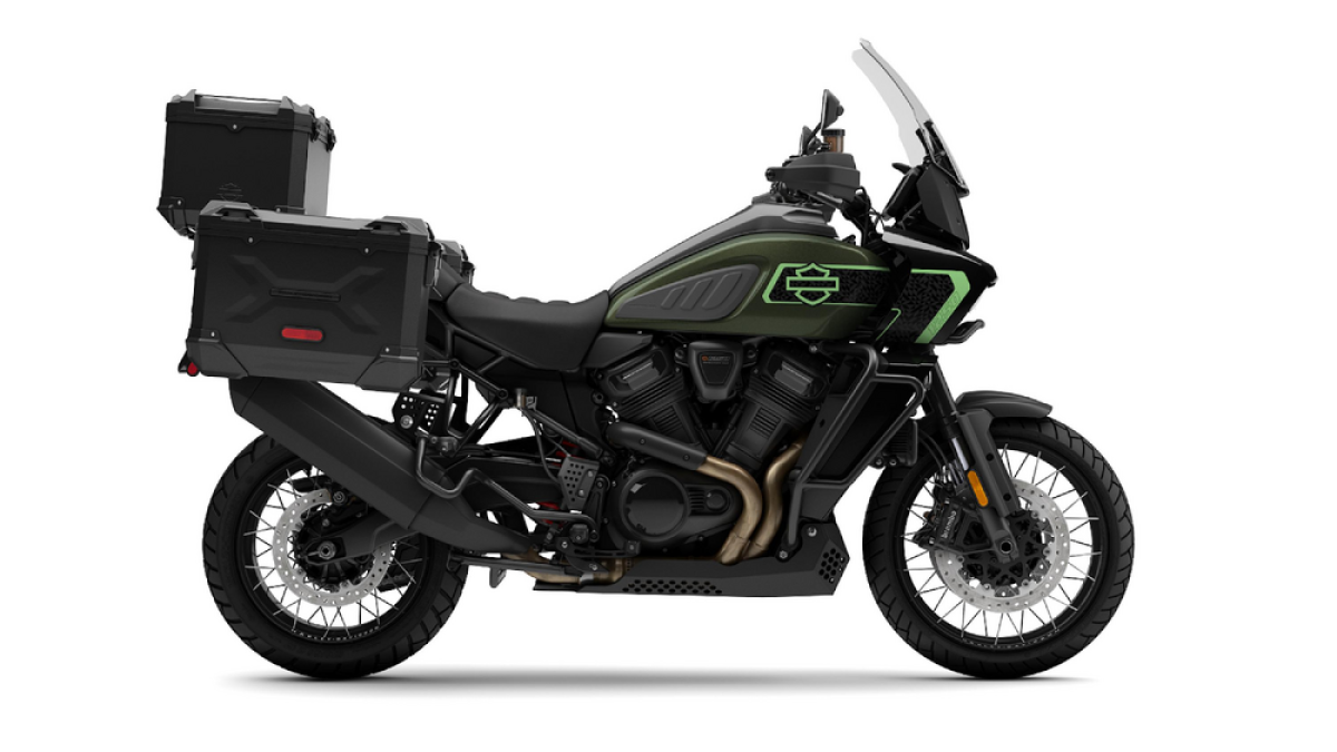 PAN AMERICA LIMITED OLIVE STEEL METALLIC