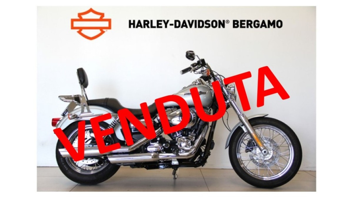 SUPER GLIDE CUSTOM USATA