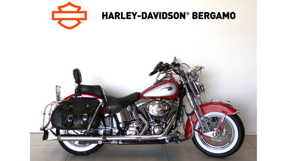 FLSTS HERITAGE SPRINGER USATA