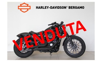XL883N IRON 883 MY2013